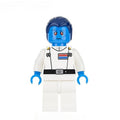 Grand Admiral Thrawn Lego Star wars Minifigures Custom Toys 1 - DelsBricks MinifiguresLego Star Wars MinifiguresDelsBricks MinifiguresDelsbricks.com